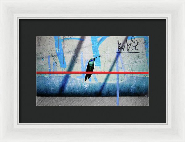 Humming Bird Grafitti - Framed Print - SEVENART STUDIO