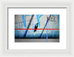 Humming Bird Grafitti - Framed Print - SEVENART STUDIO