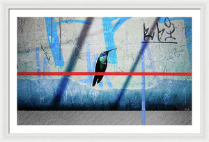 Humming Bird Grafitti - Framed Print - SEVENART STUDIO