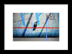 Humming Bird Grafitti - Framed Print - SEVENART STUDIO