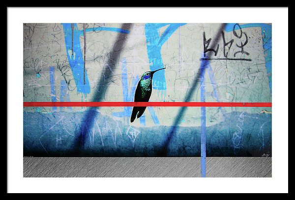 Humming Bird Grafitti - Framed Print - SEVENART STUDIO