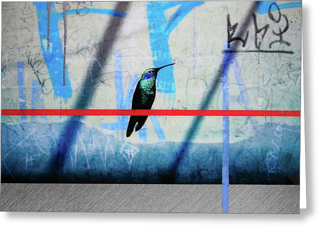 Humming Bird Grafitti - Greeting Card - SEVENART STUDIO