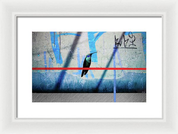 Humming Bird Grafitti - Framed Print - SEVENART STUDIO