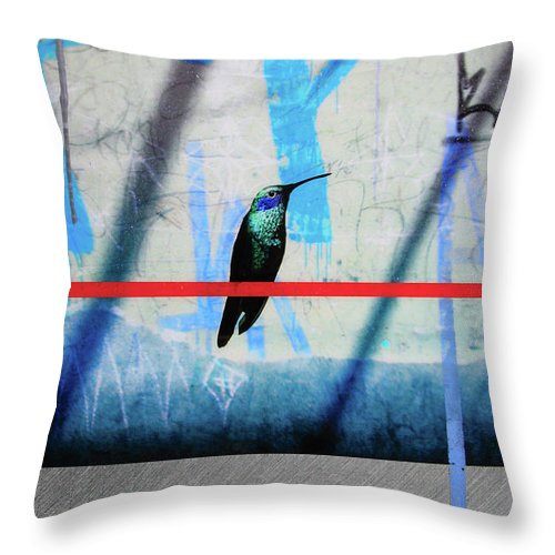 Humming Bird Grafitti - Throw Pillow - SEVENART STUDIO