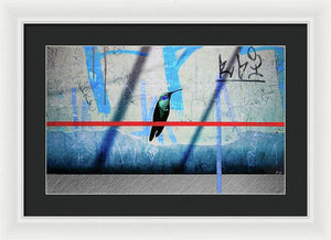 Humming Bird Grafitti - Framed Print - SEVENART STUDIO