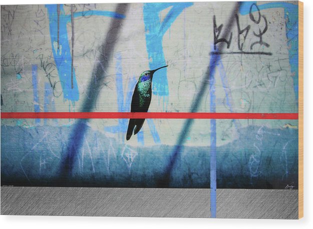 Humming Bird Grafitti - Wood Print - SEVENART STUDIO