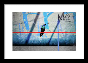 Humming Bird Grafitti - Framed Print - SEVENART STUDIO