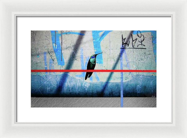 Humming Bird Grafitti - Framed Print - SEVENART STUDIO