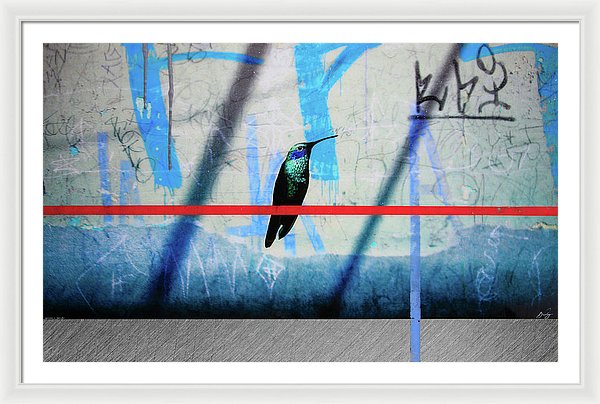 Humming Bird Grafitti - Framed Print - SEVENART STUDIO