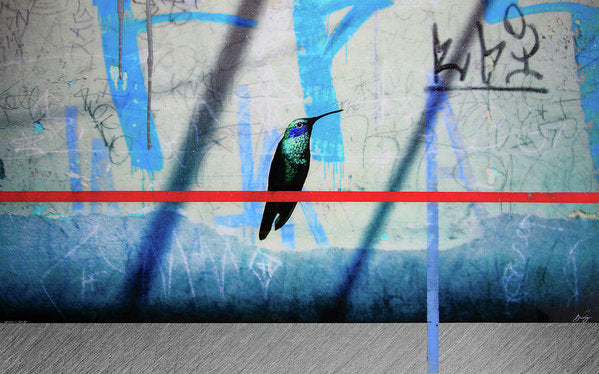 Humming Bird Grafitti - Art Print - SEVENART STUDIO