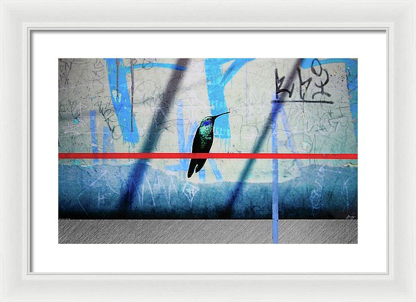 Humming Bird Grafitti - Framed Print - SEVENART STUDIO