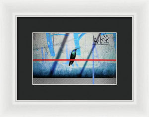 Humming Bird Grafitti - Framed Print - SEVENART STUDIO