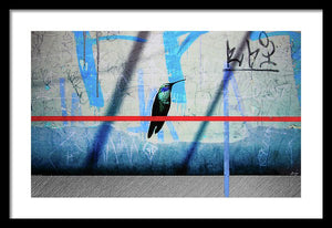 Humming Bird Grafitti - Framed Print - SEVENART STUDIO